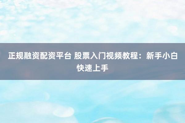 正规融资配资平台 股票入门视频教程：新手小白快速上手