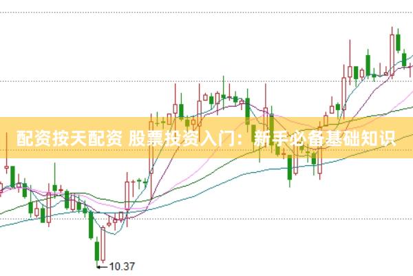 配资按天配资 股票投资入门：新手必备基础知识