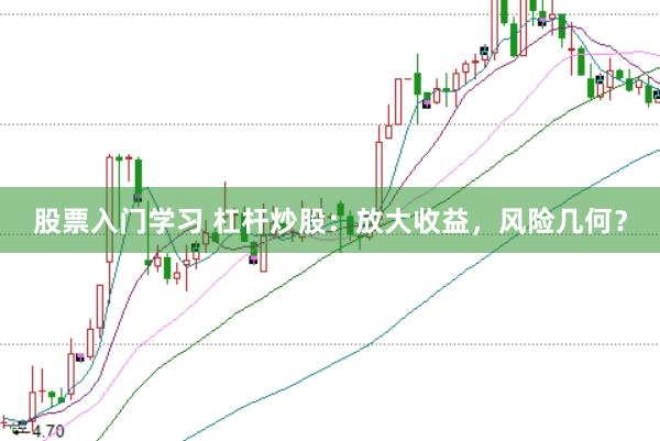 股票入门学习 杠杆炒股：放大收益，风险几何？