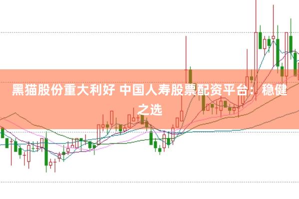 黑猫股份重大利好 中国人寿股票配资平台：稳健之选