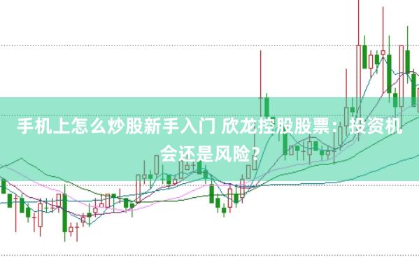 手机上怎么炒股新手入门 欣龙控股股票：投资机会还是风险？