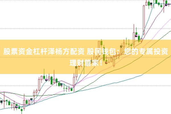 股票资金杠杆泽杨方配资 股民钱包：您的专属投资理财管家！
