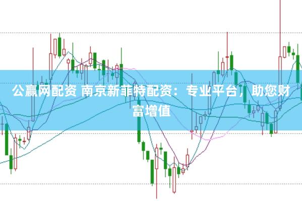 公赢网配资 南京新菲特配资：专业平台，助您财富增值