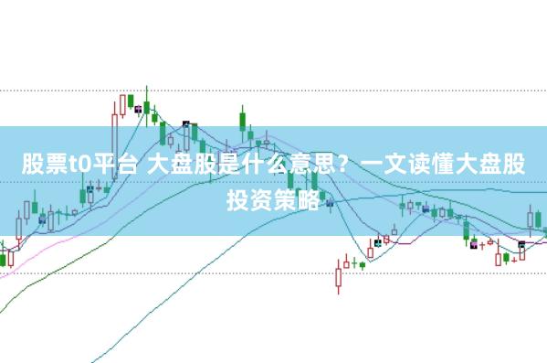 股票t0平台 大盘股是什么意思？一文读懂大盘股投资策略