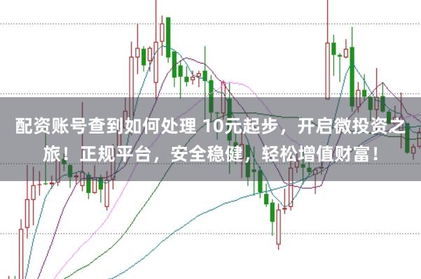 配资账号查到如何处理 10元起步，开启微投资之旅！正规平台，安全稳健，轻松增值财富！