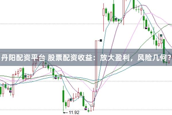 丹阳配资平台 股票配资收益：放大盈利，风险几何？