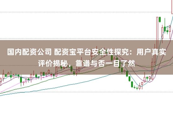 国内配资公司 配资宝平台安全性探究：用户真实评价揭秘，靠谱与否一目了然