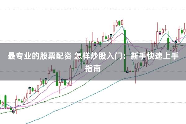 最专业的股票配资 怎样炒股入门:新手快速上手指南