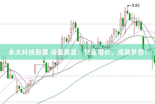 永太科技股票 添盈聚富：财富增长，成就梦想！