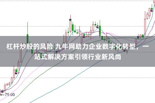 杠杆炒股的风险 九牛网助力企业数字化转型，一站式解决方案引领行业新风尚