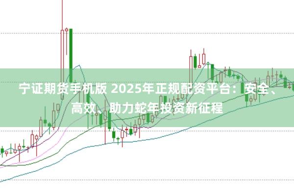 宁证期货手机版 2025年正规配资平台：安全、高效、助力蛇年投资新征程