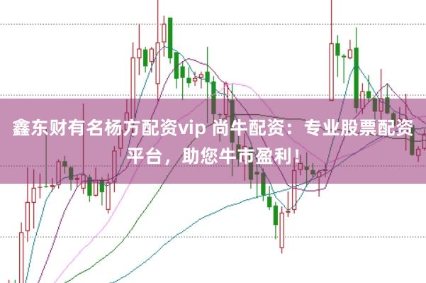 鑫东财有名杨方配资vip 尚牛配资：专业股票配资平台，助您牛市盈利！