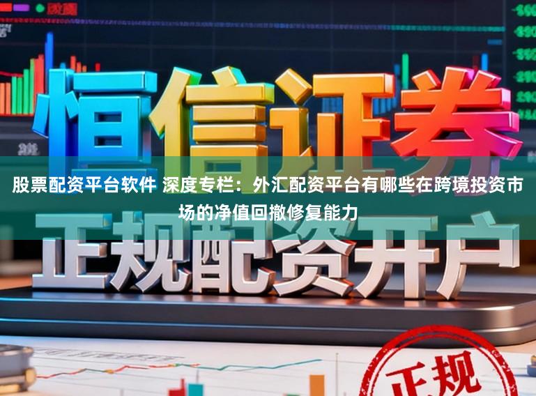 股票配资平台软件 深度专栏：外汇配资平台有哪些在跨境投资市场的净值回撤修复能力