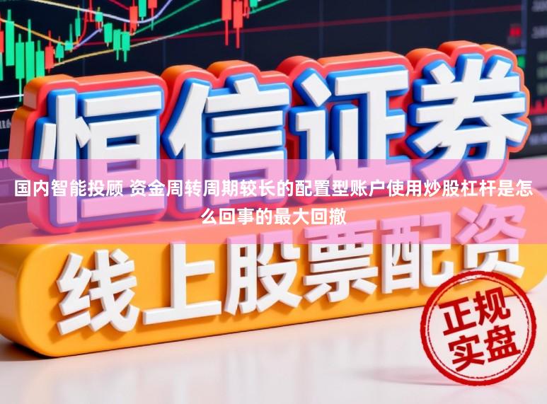 国内智能投顾 资金周转周期较长的配置型账户使用炒股杠杆是怎么回事的最大回撤