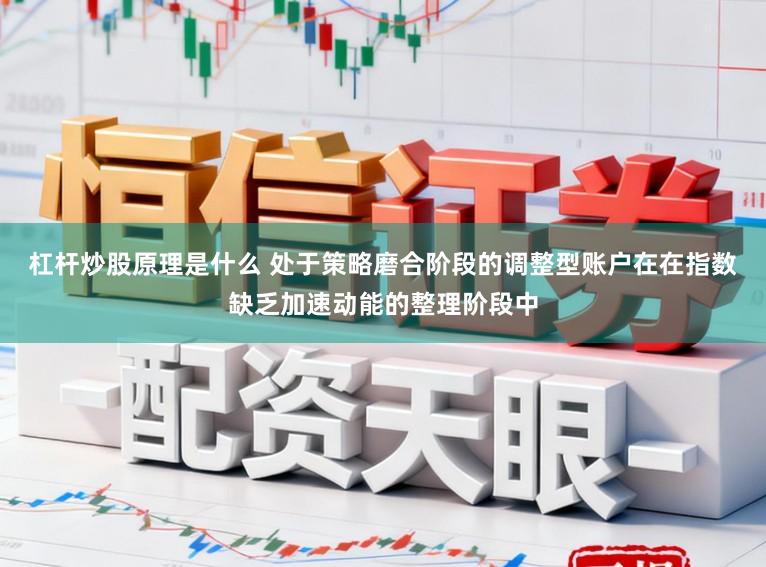杠杆炒股原理是什么 处于策略磨合阶段的调整型账户在在指数缺乏加速动能的整理阶段中